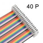 71mQDKy5lHL._AC_SL1100_